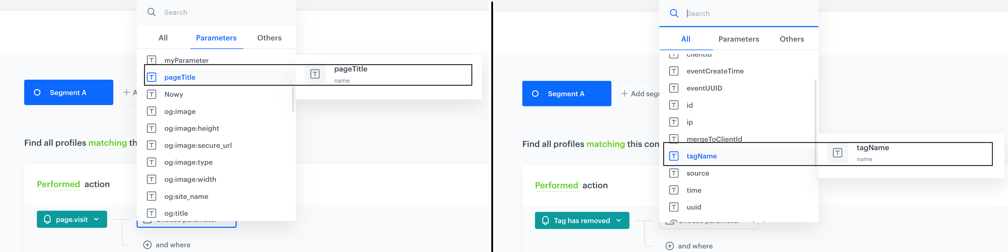 The name parameter which appears in two events: page.visit and client.removeTag