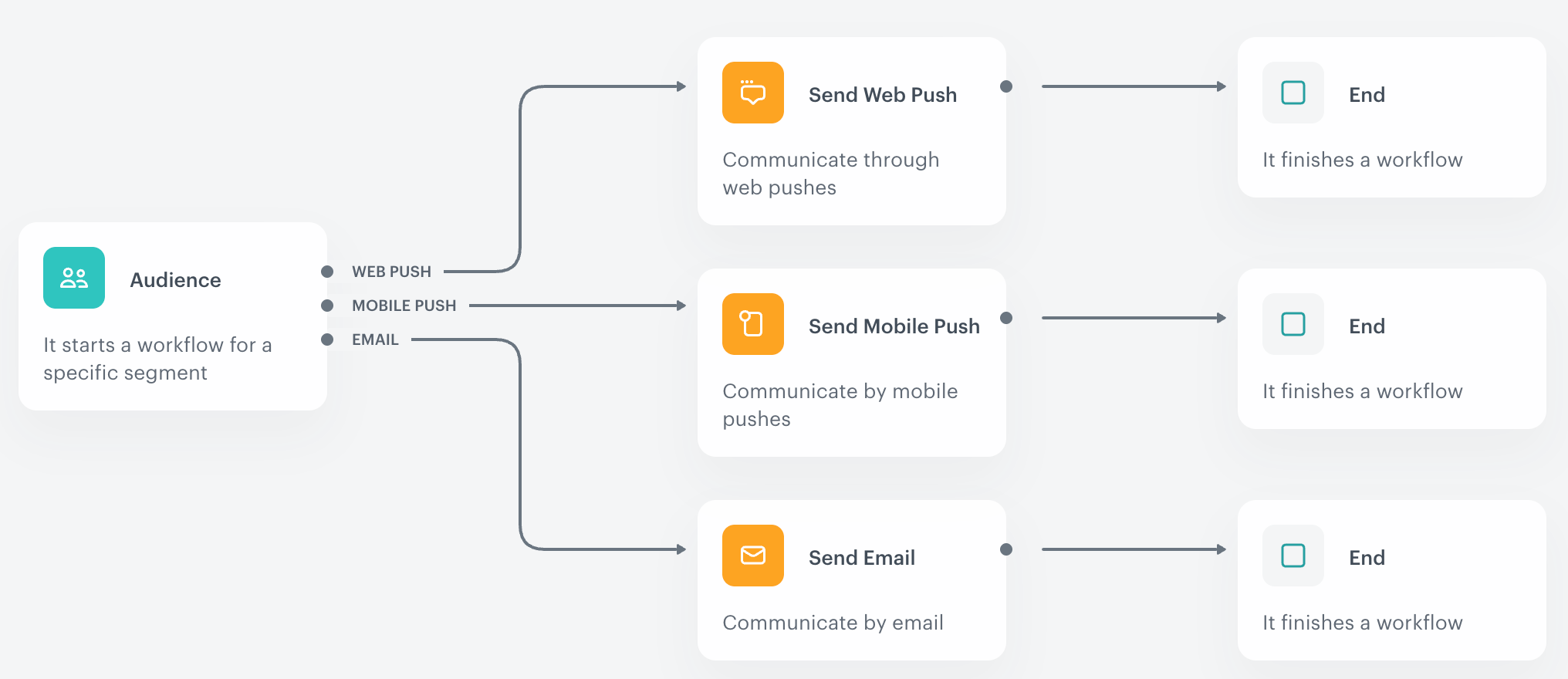 Automation Hub workflow using the Audience trigger with segment branching to route customers into channel-specific message nodes based on marketing consent