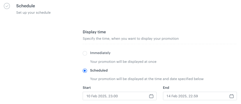 Synerise promotion schedule section