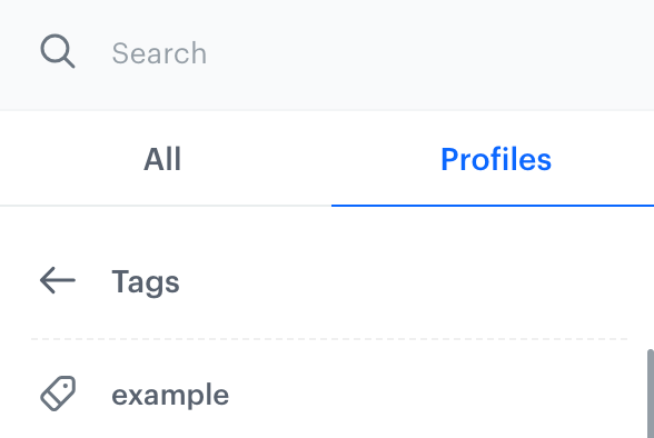 The example tag on the filter list in a segmentation
