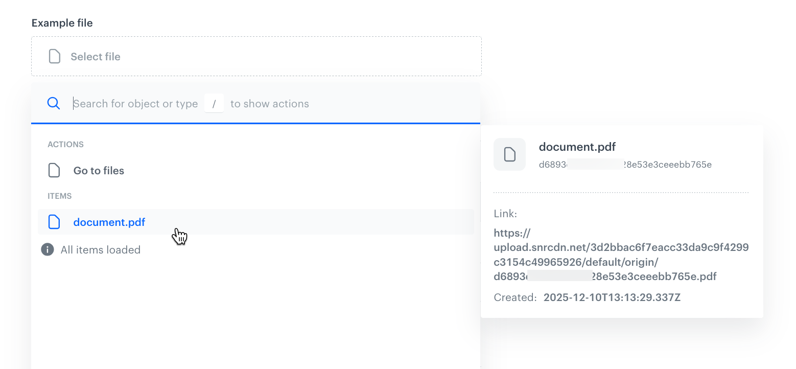 File selector in the record editor