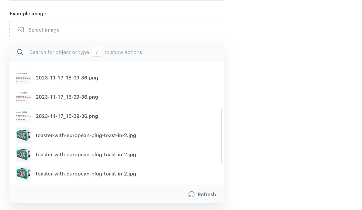 Image selector in the record editor