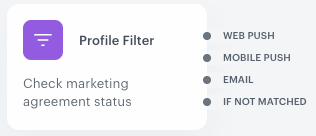 Profile Filter outputs after selecting the Split audience tab and a segmentation with multiple segments