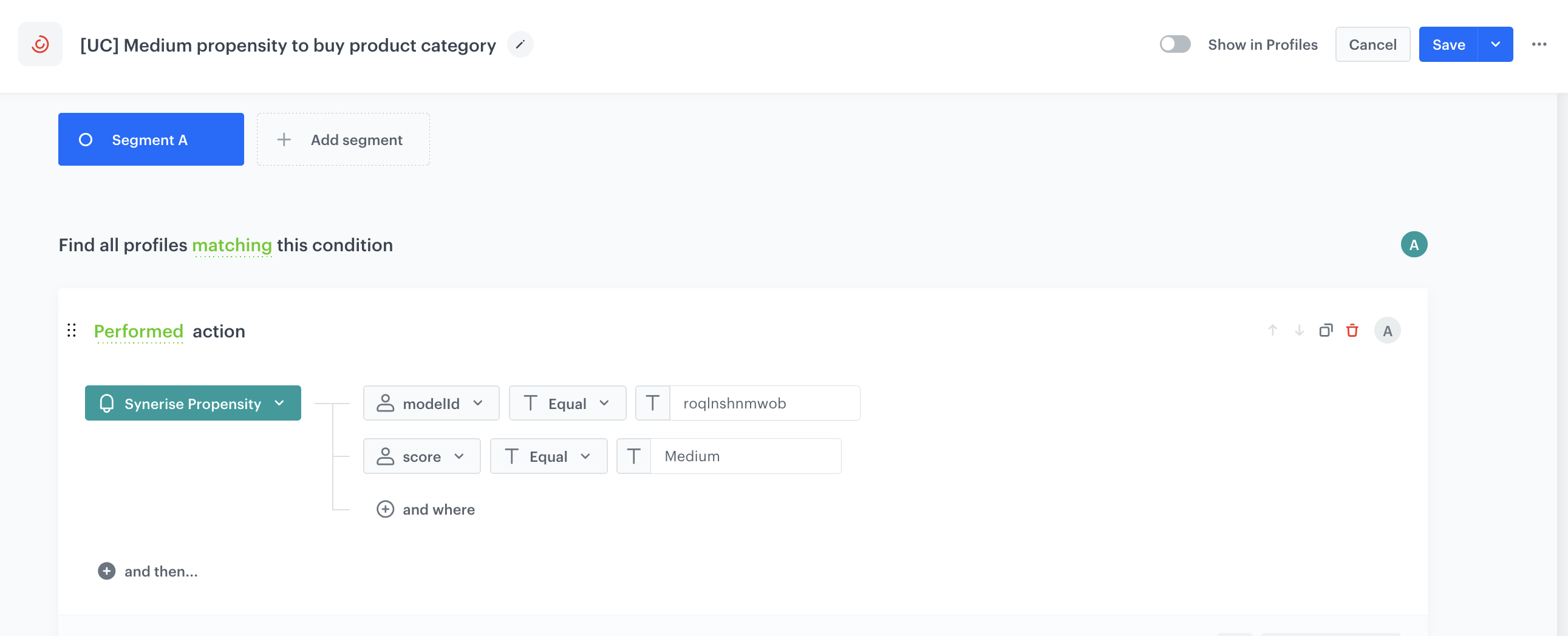 The view of segmentation configuration