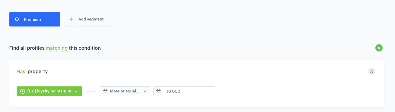 Configuration of the Premium loyalty level segmentation