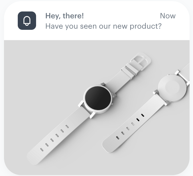 Example of a notification with a single image