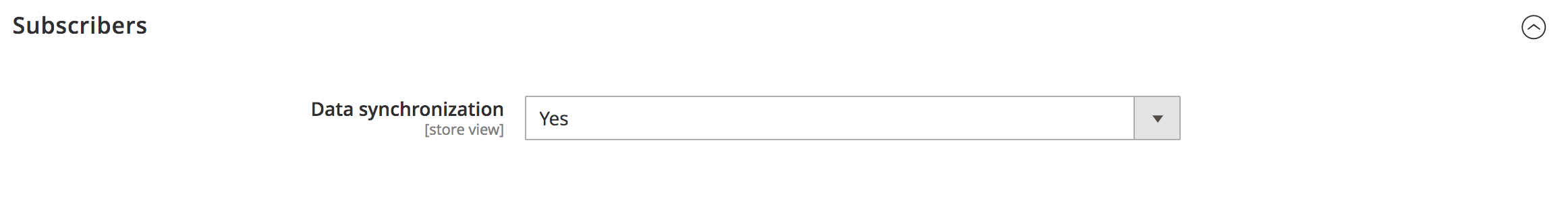 Magento Synerise plugin Subscribers synchronization section
