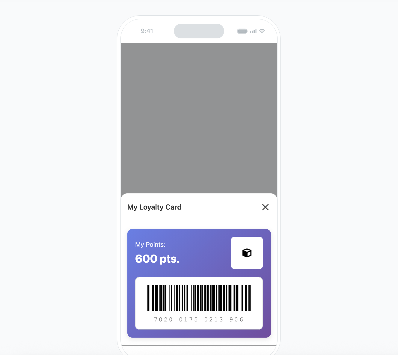 The view of in-app configuration