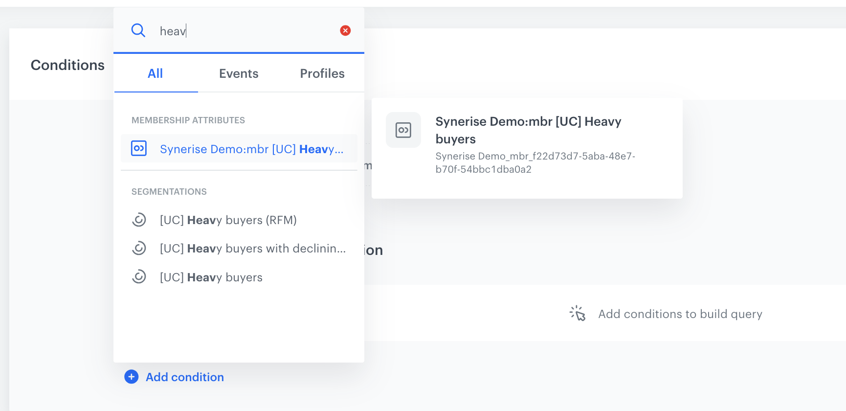 Decision Hub segmentation configuration showing a membership attribute for multibrand synchronization