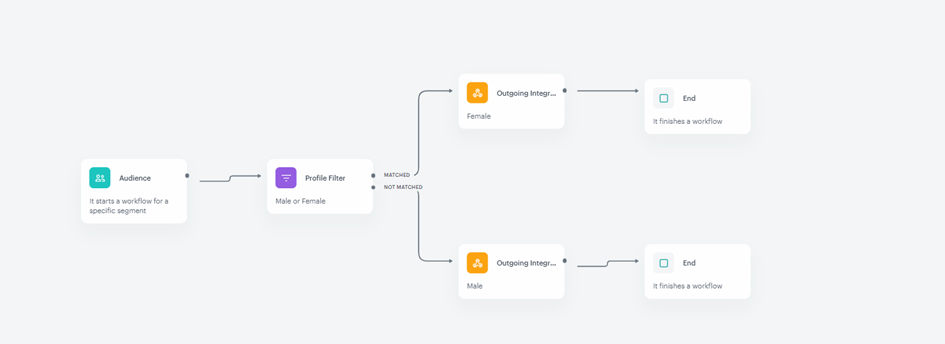 The view of the workflow with optional Profile Filter node