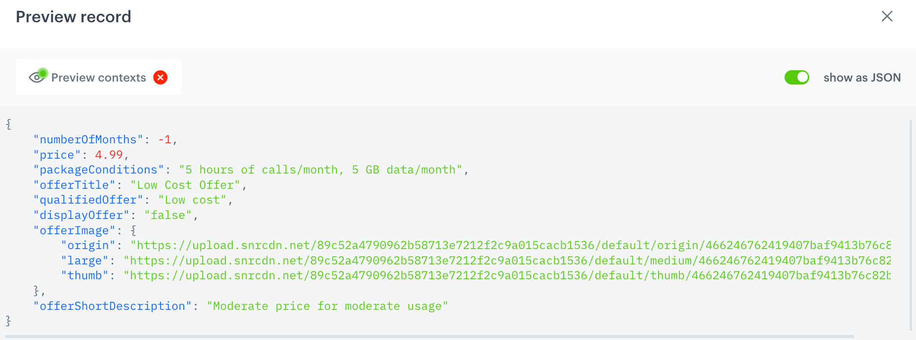 The view of the JSON record results for an example profile